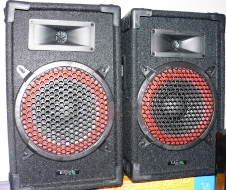 2 Way PA Speaker von IBIZA SOUND 